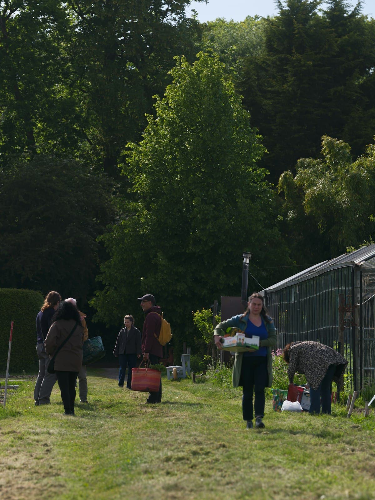 People gathering with baskets beside a greenhouse in a leafy community garden.