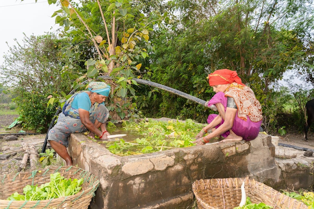 Two women in India washing leafy greens beside a field.